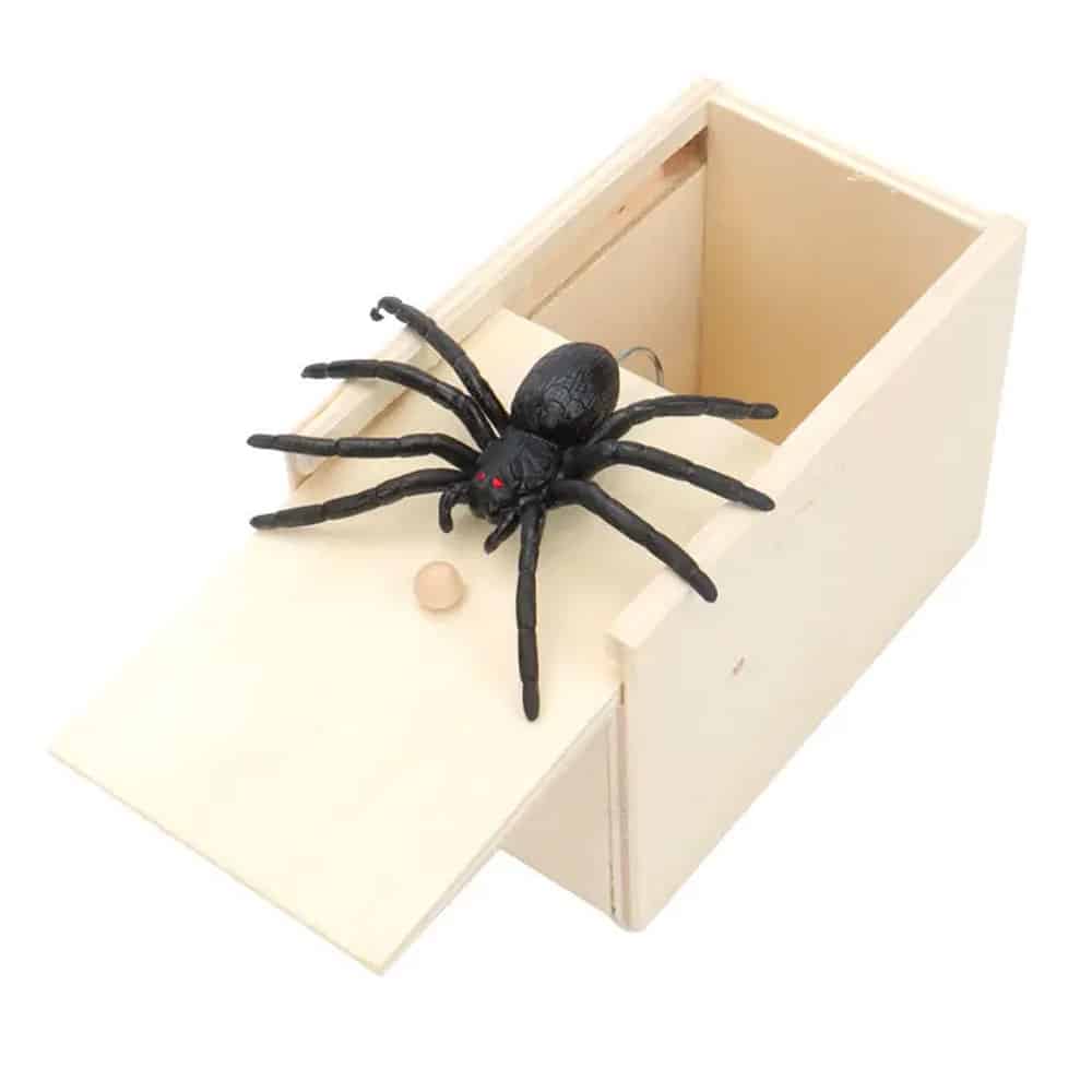 Spider Box Prank | Hysterical Shocking Prank | Anonymous Prank Website | Prank Mail | Ship Your Enemies Glitter